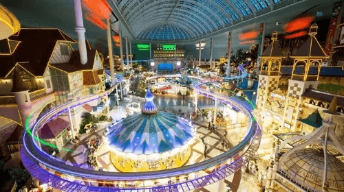 Full-day Private Lotte Tower, Aquarium and Lotte world Theme park Tour