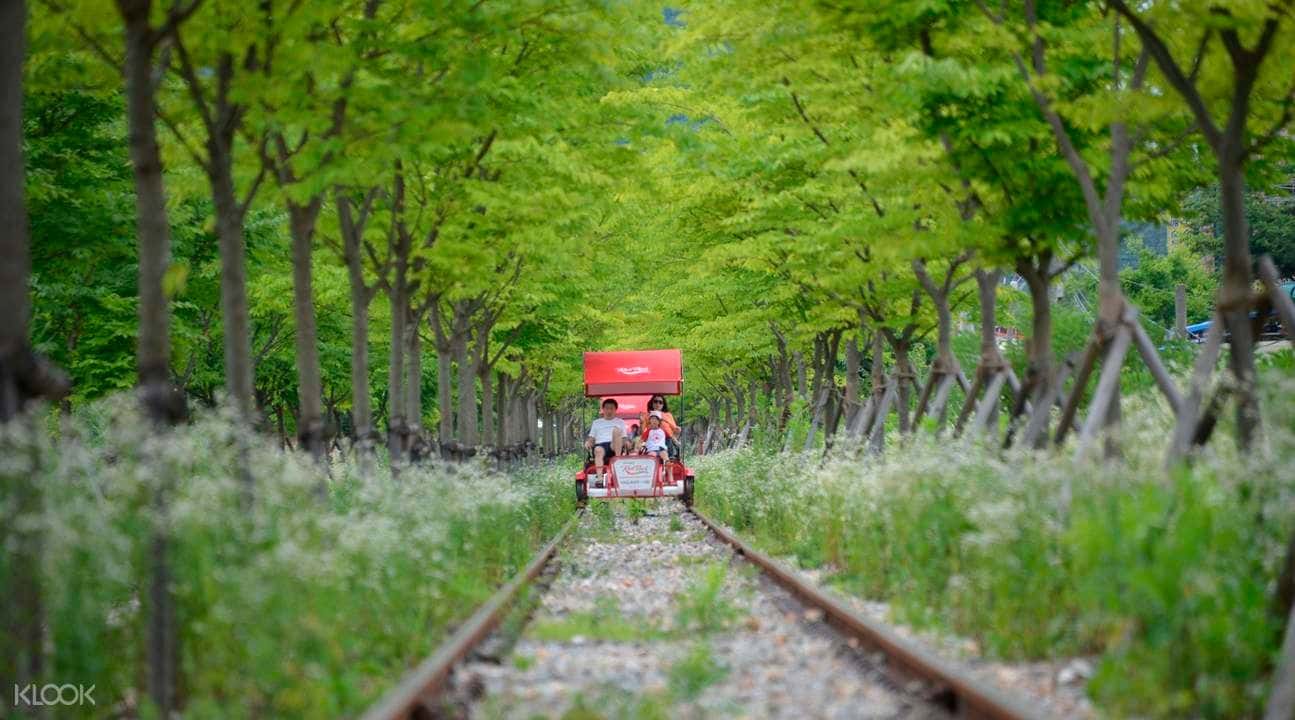Gangchon Rail Bike Experience (Gyeonggang Station Course)2