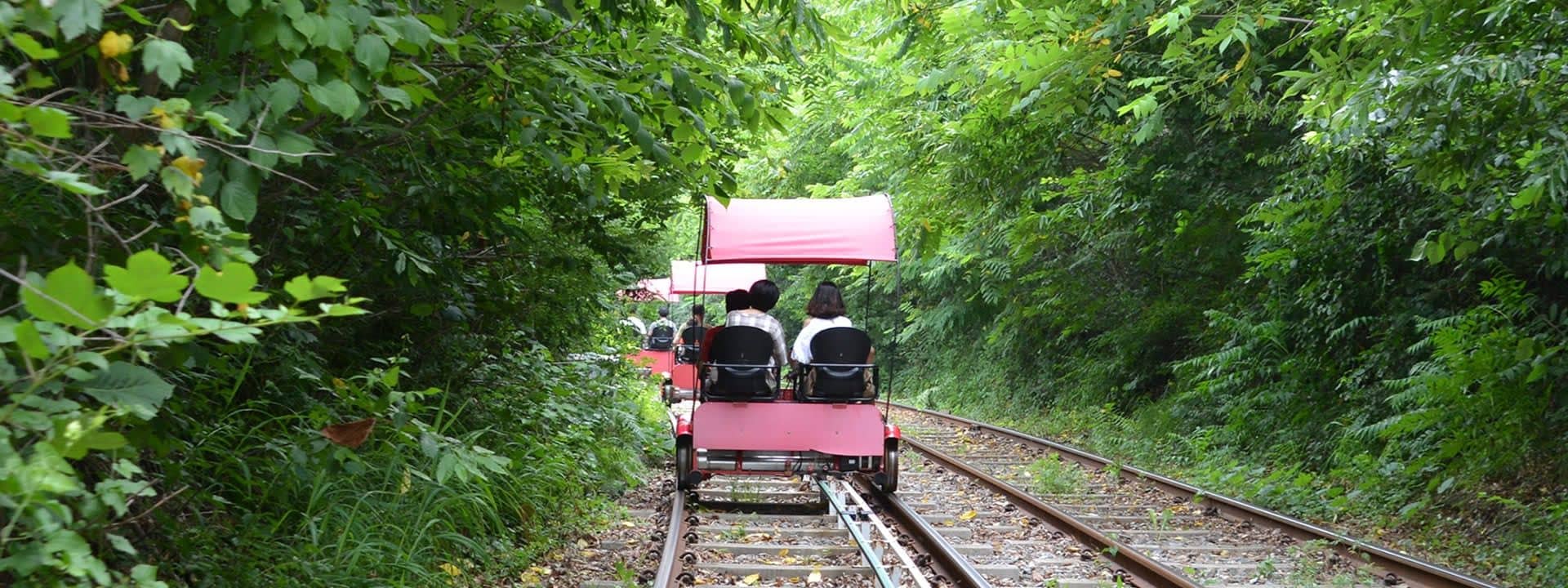 Gangchon Rail Bike Experience (Gyeonggang Station Course)