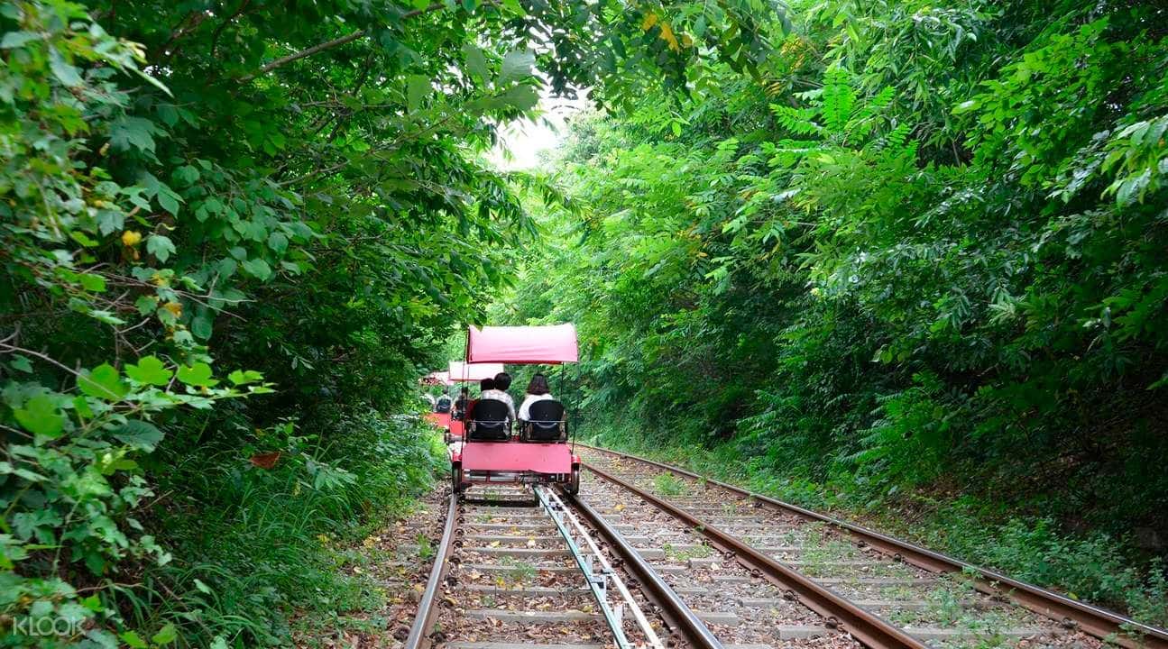 Gangchon Rail Bike Experience (Gyeonggang Station Course)3