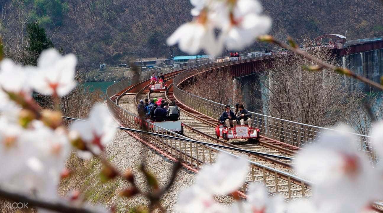 Gapyeong Rail Bike Experience2