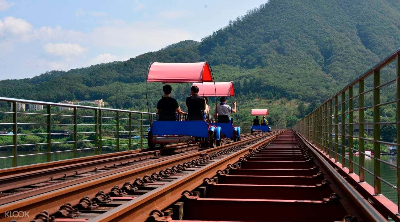 Gapyeong Rail Bike Experience4