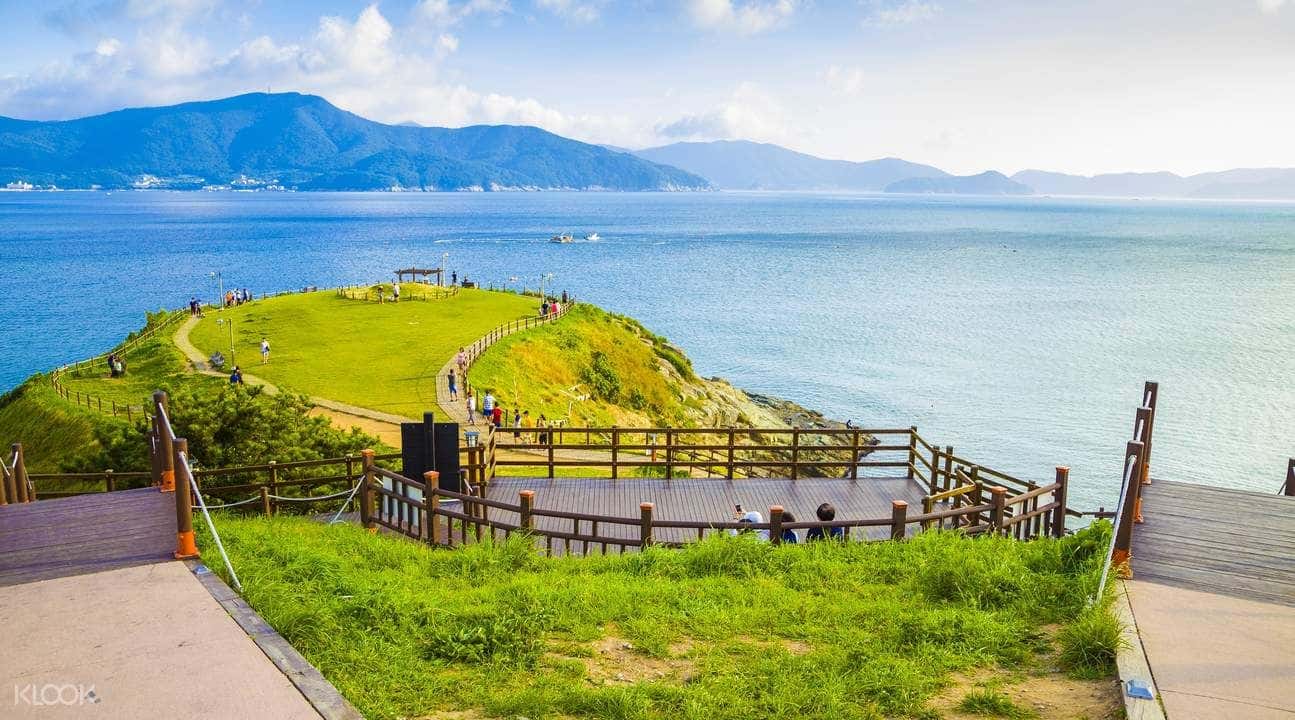 Geojedo Island Day Tour by TK Travel1