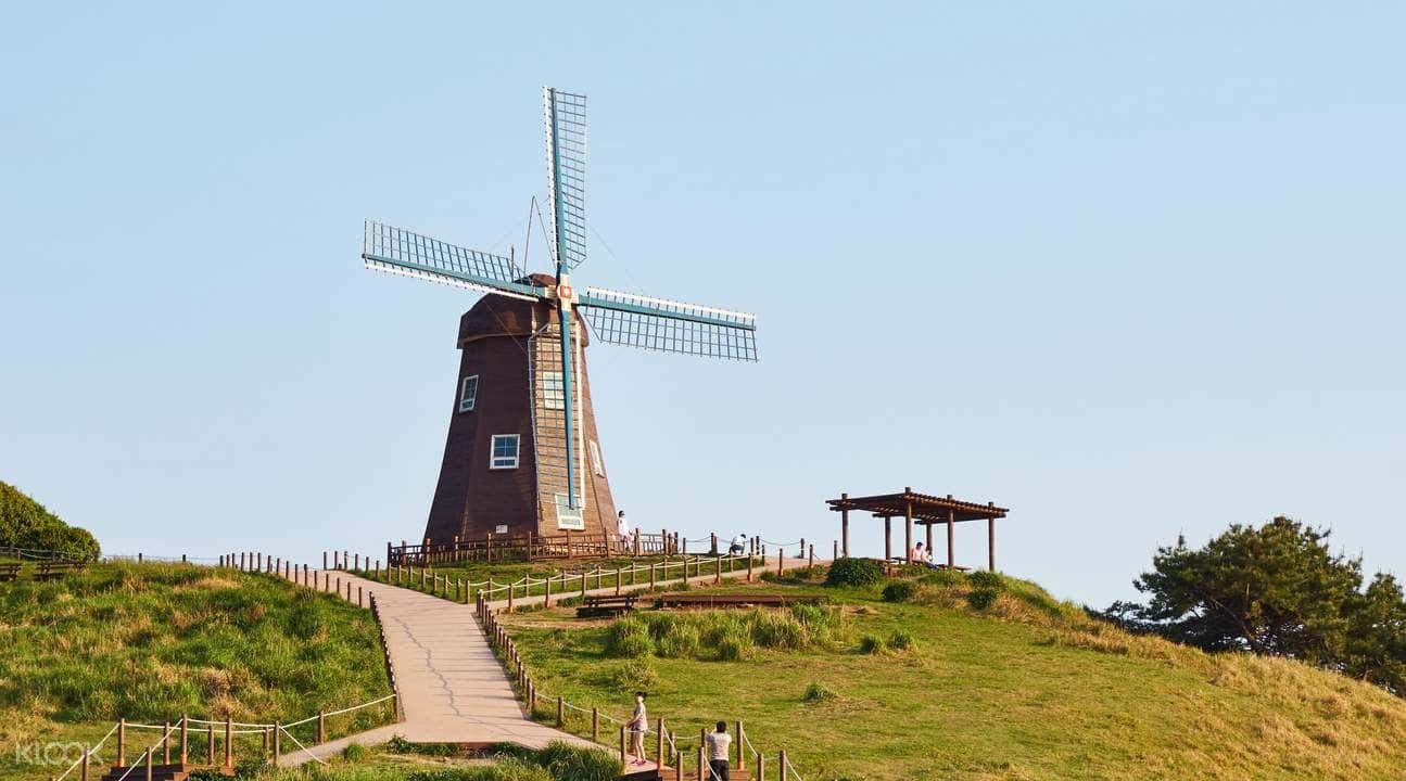 Geojedo Island Day Tour by TK Travel3