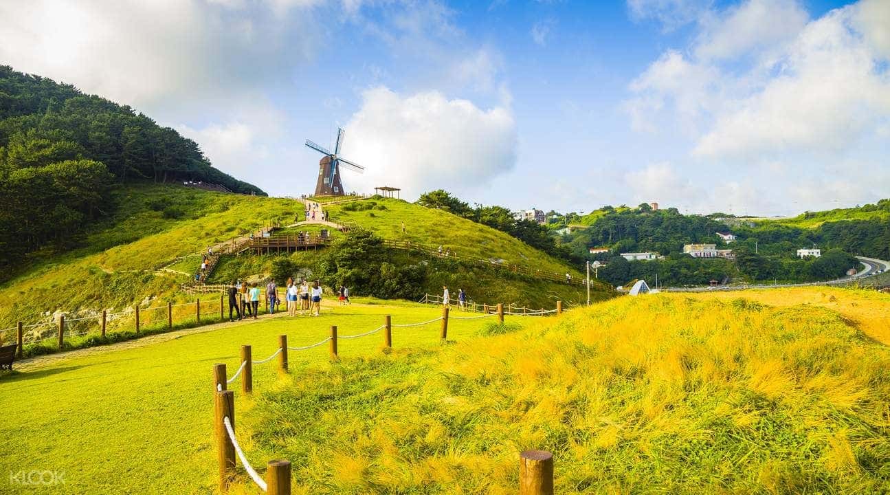 Geojedo Island Day Tour by TK Travel2