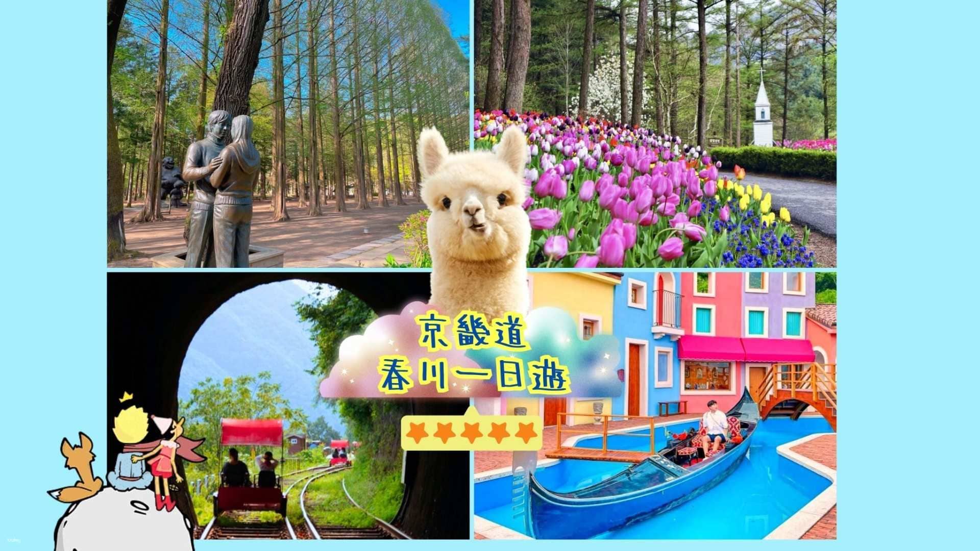 Gyeonggi-do Day Tour from Seoul: Alpaca World, Nami Island, The Garden of Morning Calm, Petite France Village & More