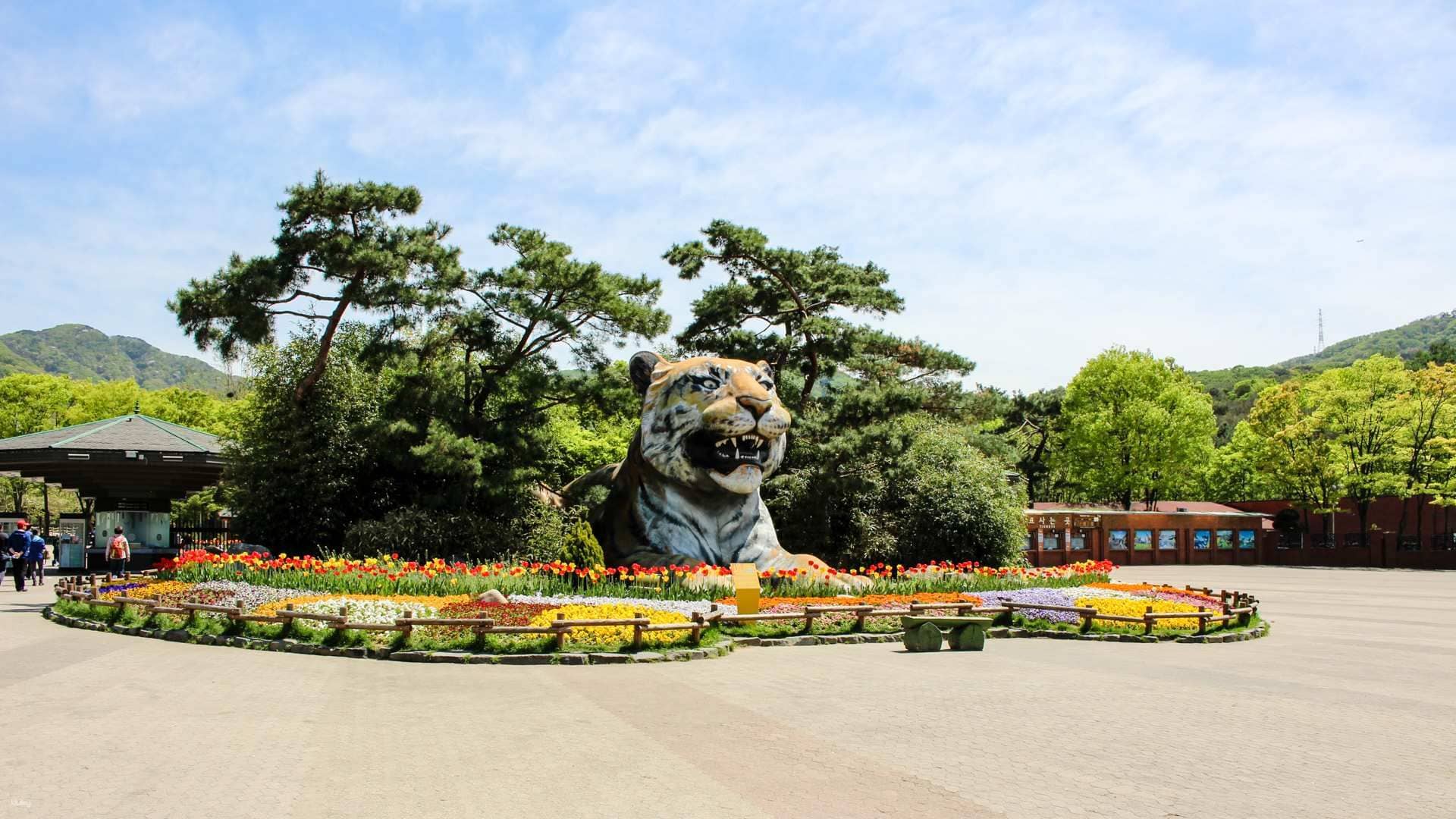 Gyeonggi-do|Seoul Zoo + Sky Lift Combo Ticket