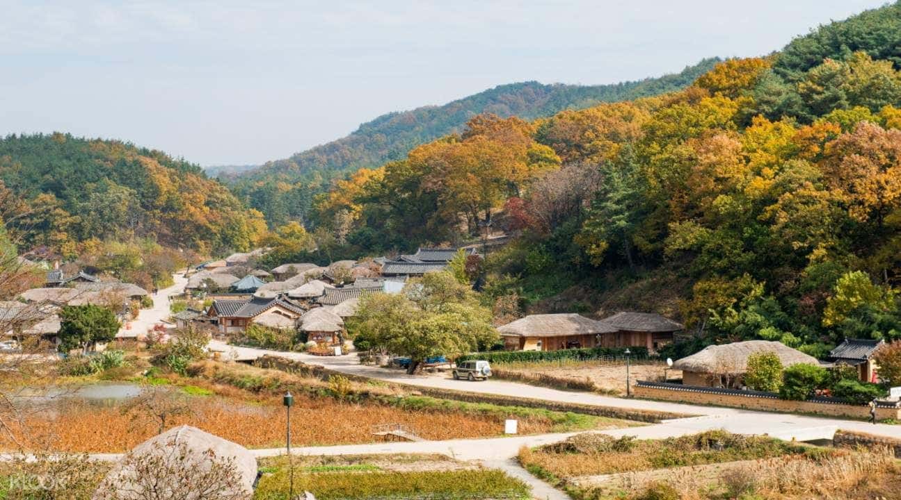 Gyeongju Day Tour from Daegu1
