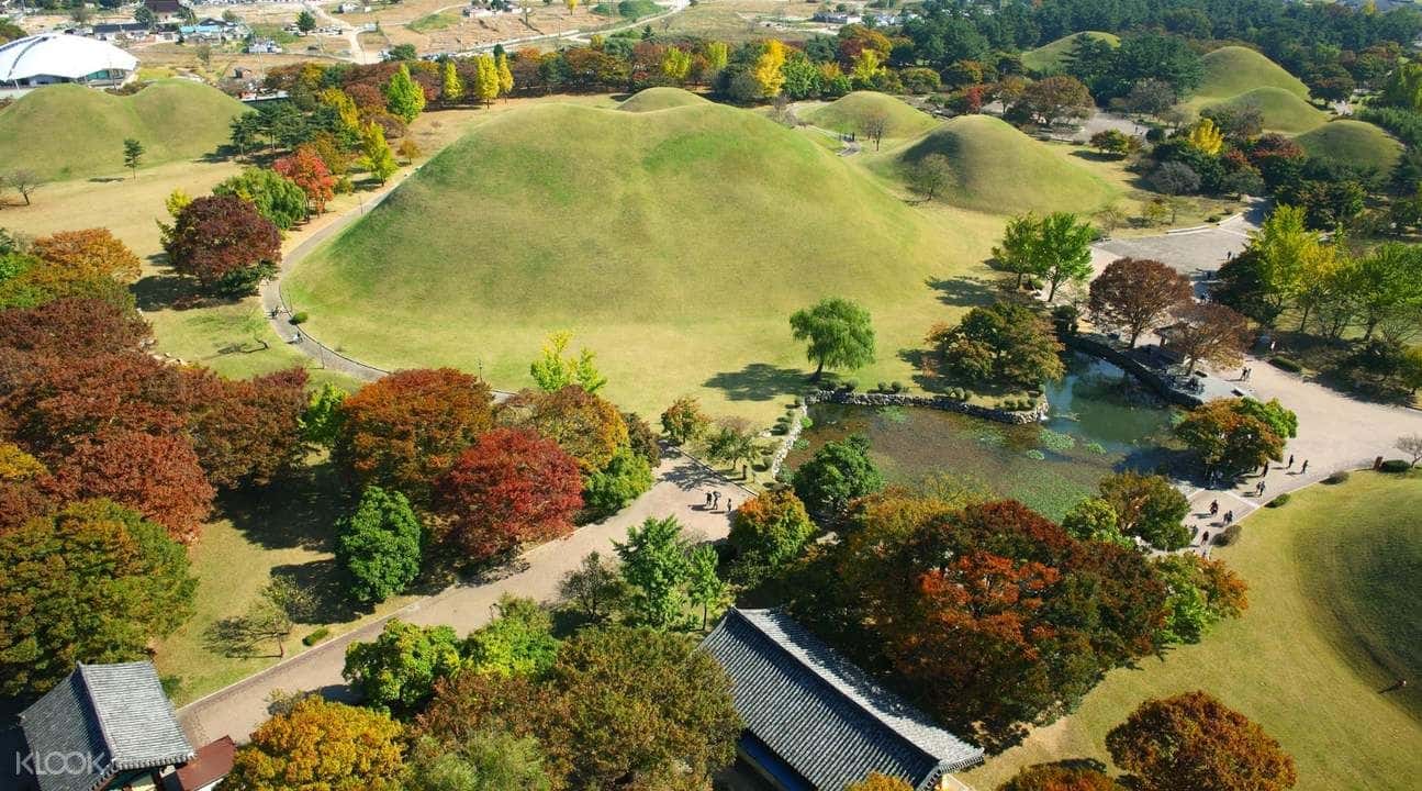 Gyeongju Day Tour from Daegu2