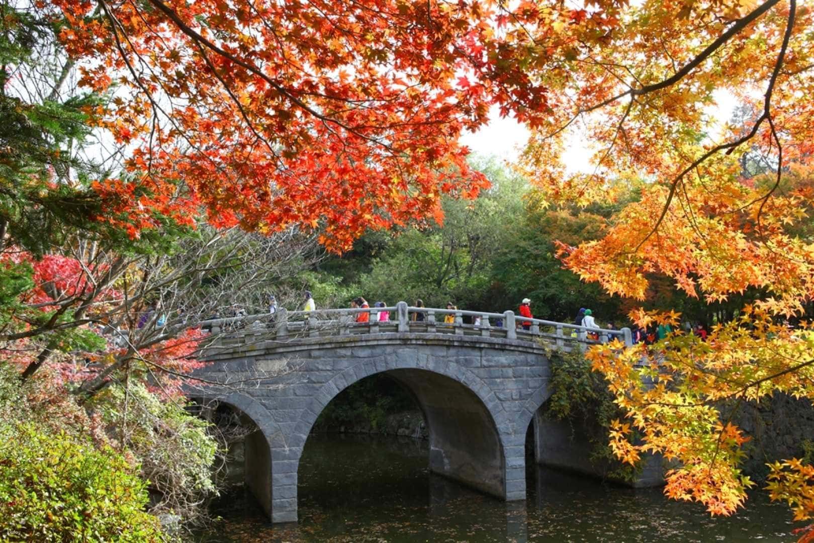 Gyeongju One-Day Tour: Hwangridan-gil, Daereungwon, Bulguksa, Gyochon Village, Donggung Palace, and Wolji Pond | South Korea1
