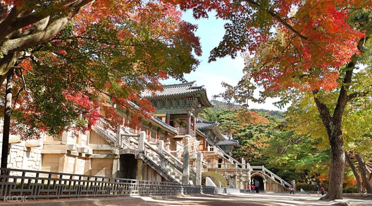 Gyeongju Private Sightseeing Car Charter from Busan3