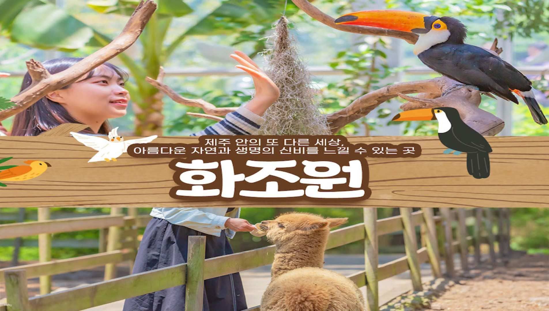Hwajowon (Flower Bird Park) | Jeju Island, South Korea