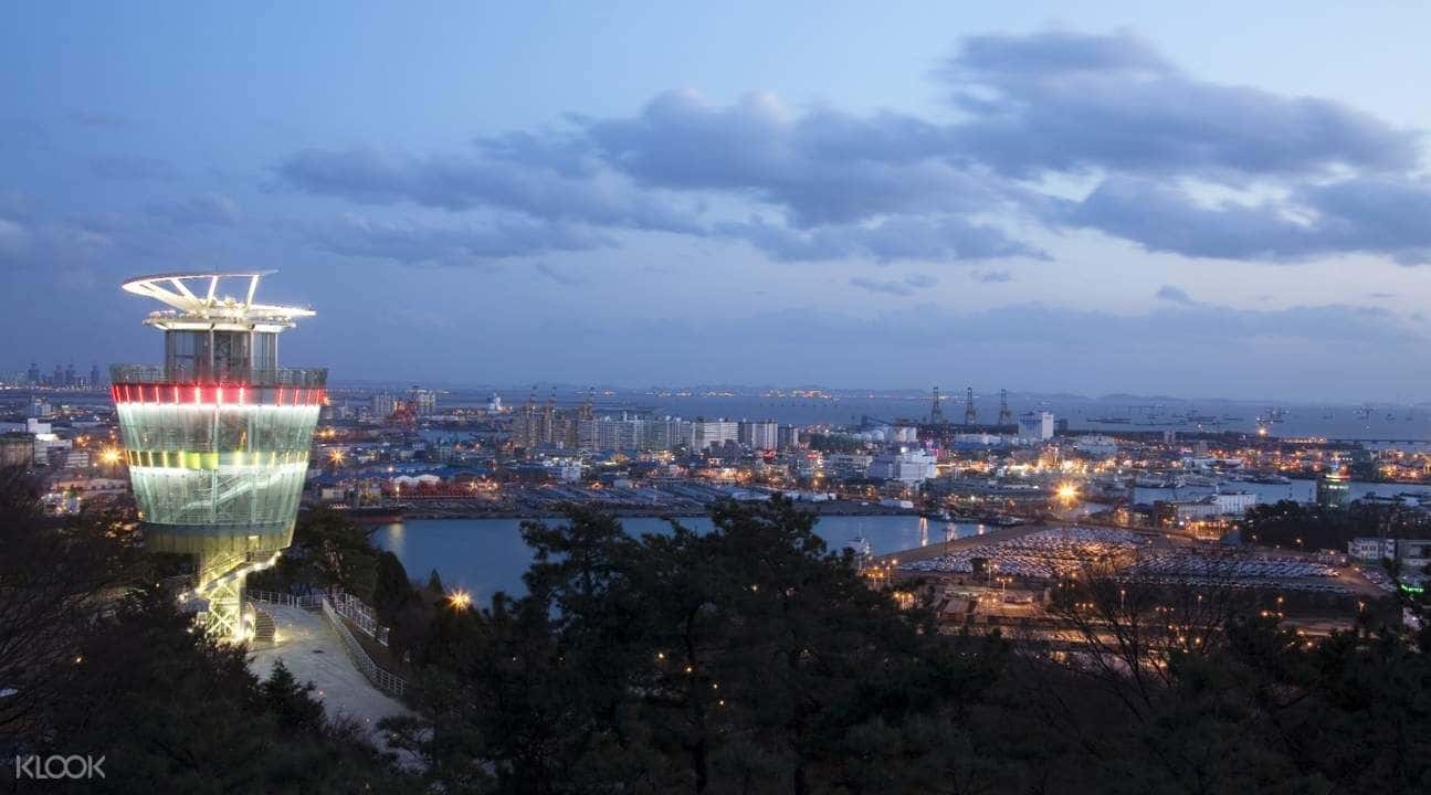 Incheon Private Car Charter3