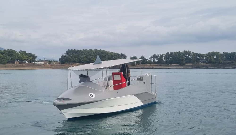 Jeju Hamo Dolphin Tour2