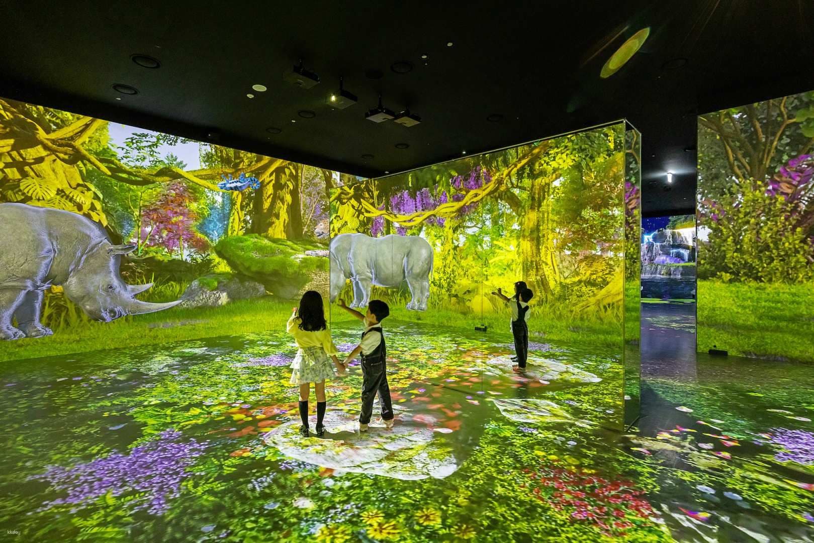 Jeju Wonder Island: Admission Ticket | South Korea