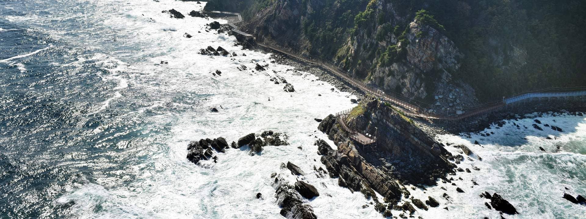 Jeongdong-Simgok Badabuchae-gil Trail and Jeongdongjin Rail Bike Day Tour in Gangneung from Seoul