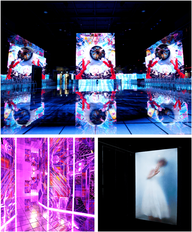 Museum 1 Signs of Loss Exhibition Discount Ticket4