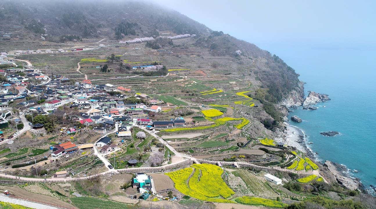 Namhae County Day Tour from Busan2
