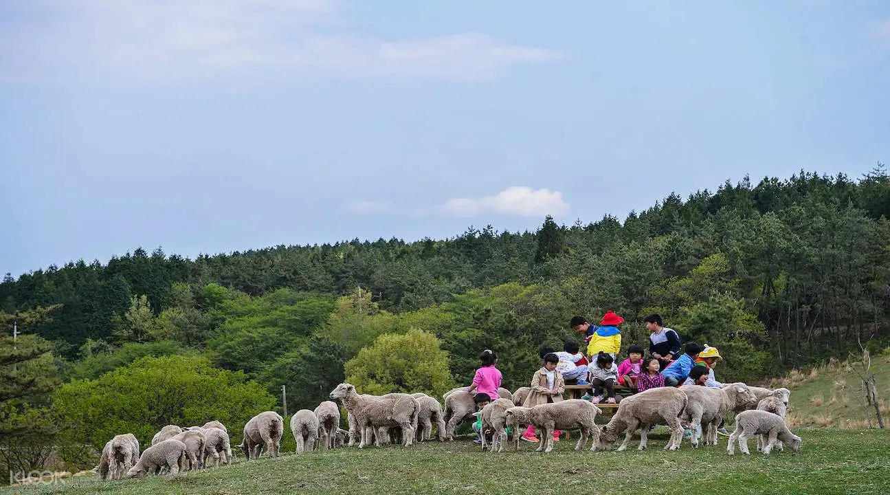 Namhae County Day Tour from Busan3