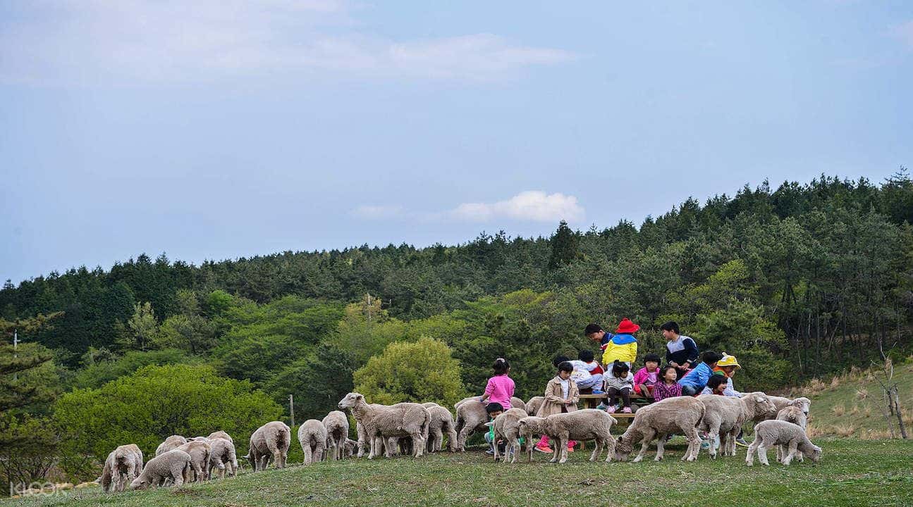 Namhae County Day Tour from Busan3