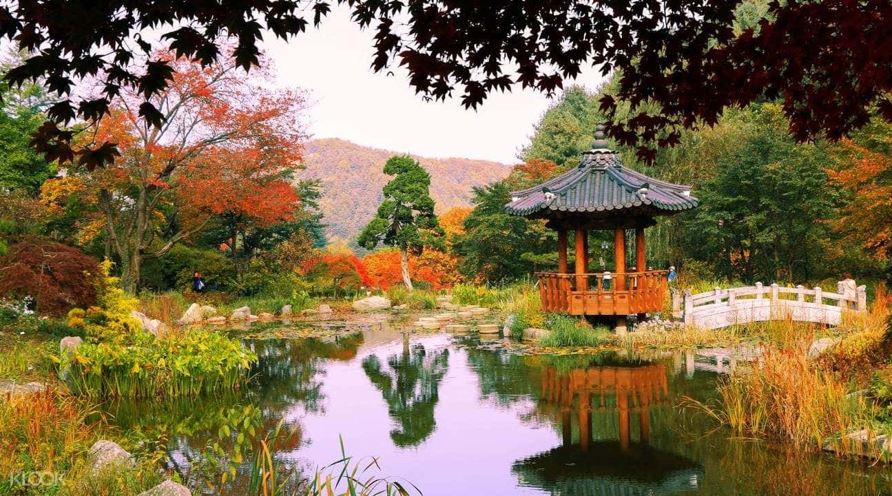 Nami Island Premium First Class Bus Day Tour from Seoul2
