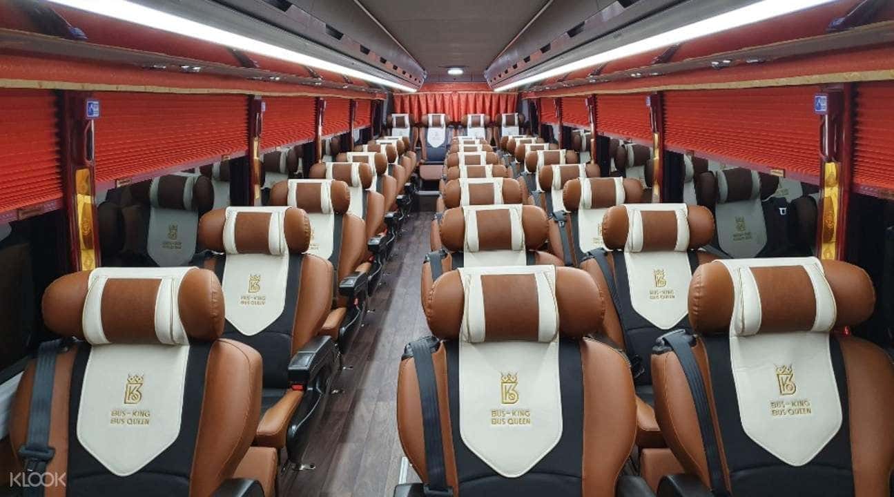 Nami Island Premium First Class Bus Day Tour from Seoul4