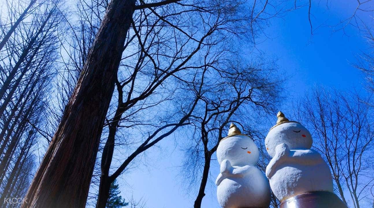 Nami Island Premium First Class Bus Day Tour from Seoul1