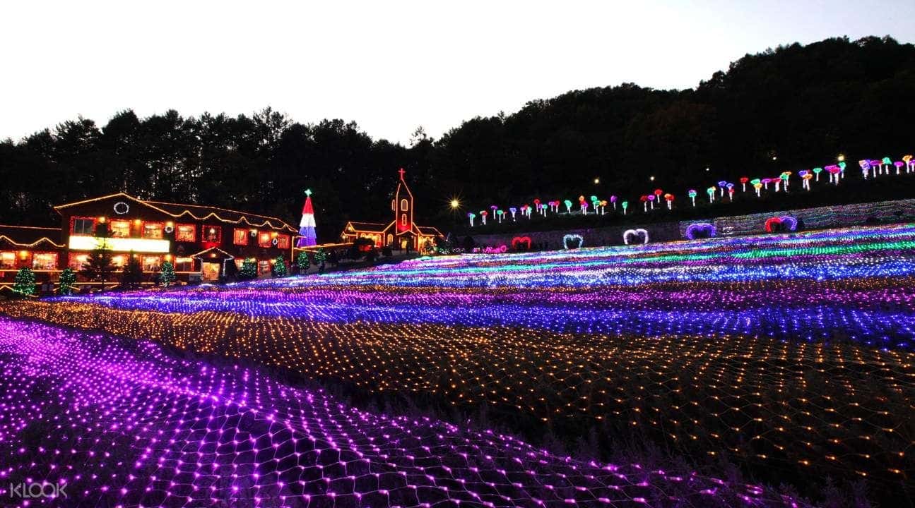Pocheon Art Valley, Strawberry Farm, and Herb Island Day Tour1
