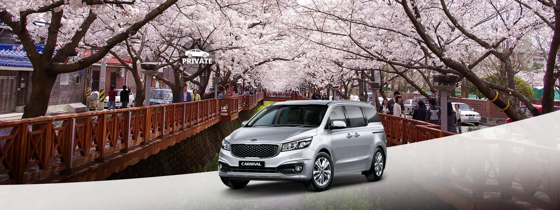 Private Sightseeing Charter Trip for Jinhae Cherry Blossom Festival from Seoul