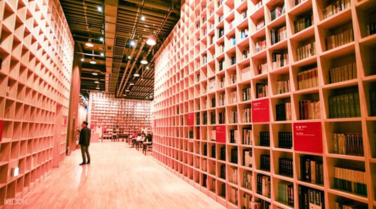 Provence Village, Paju Book City, & Heyri Art Valley Day Tour3