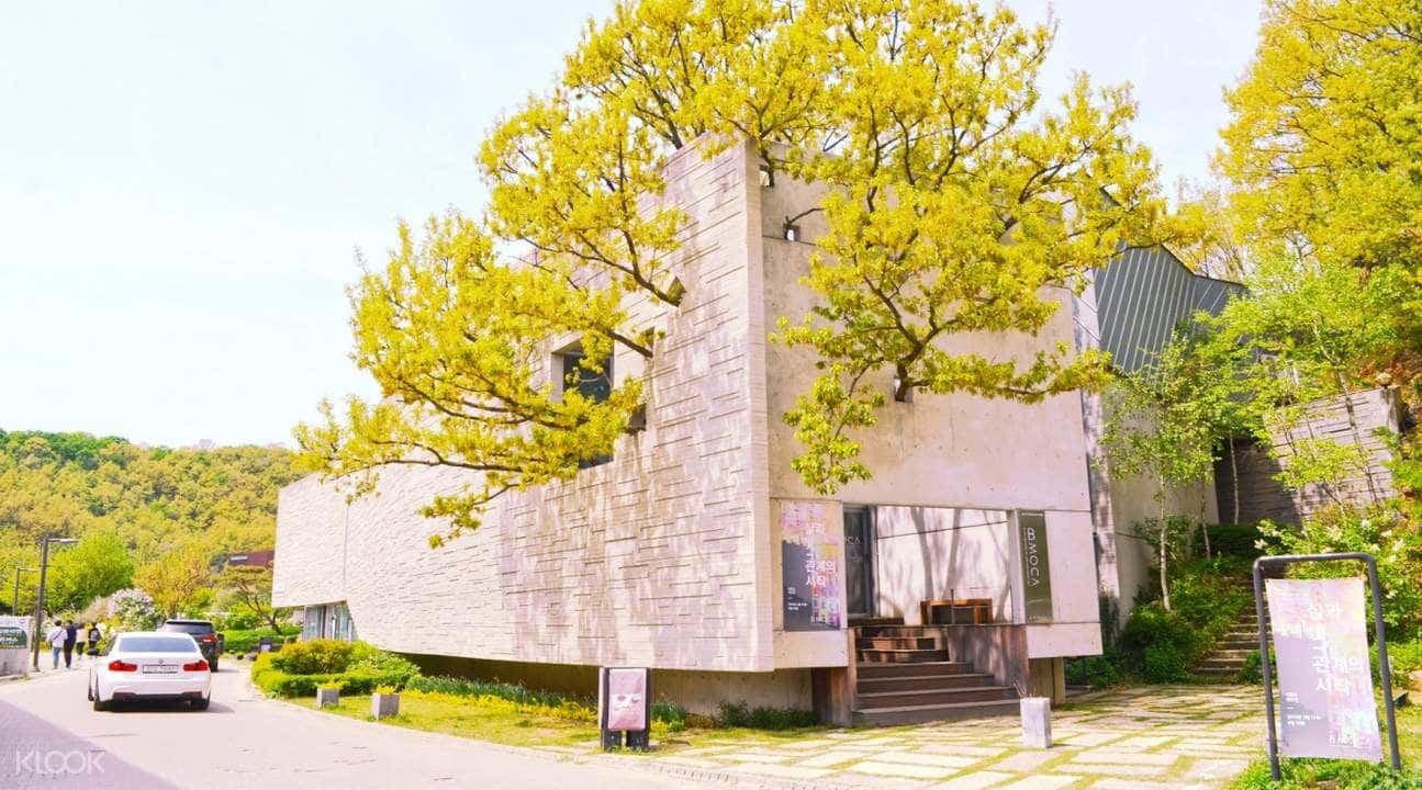 Provence Village, Paju Book City, & Heyri Art Valley Day Tour2