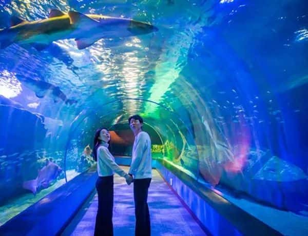Sea Life Busan1