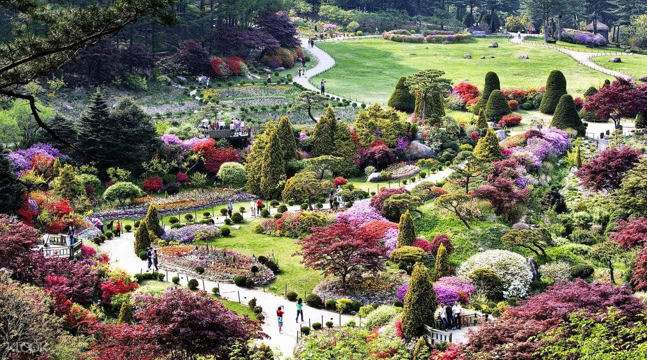 Seoul and Suburbs Private Car Charter1