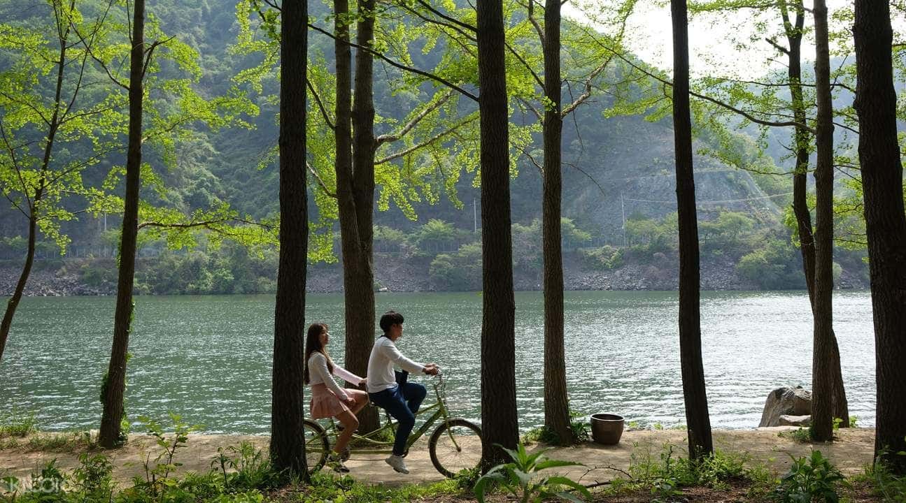 Seoul and Suburbs Private Car Charter3