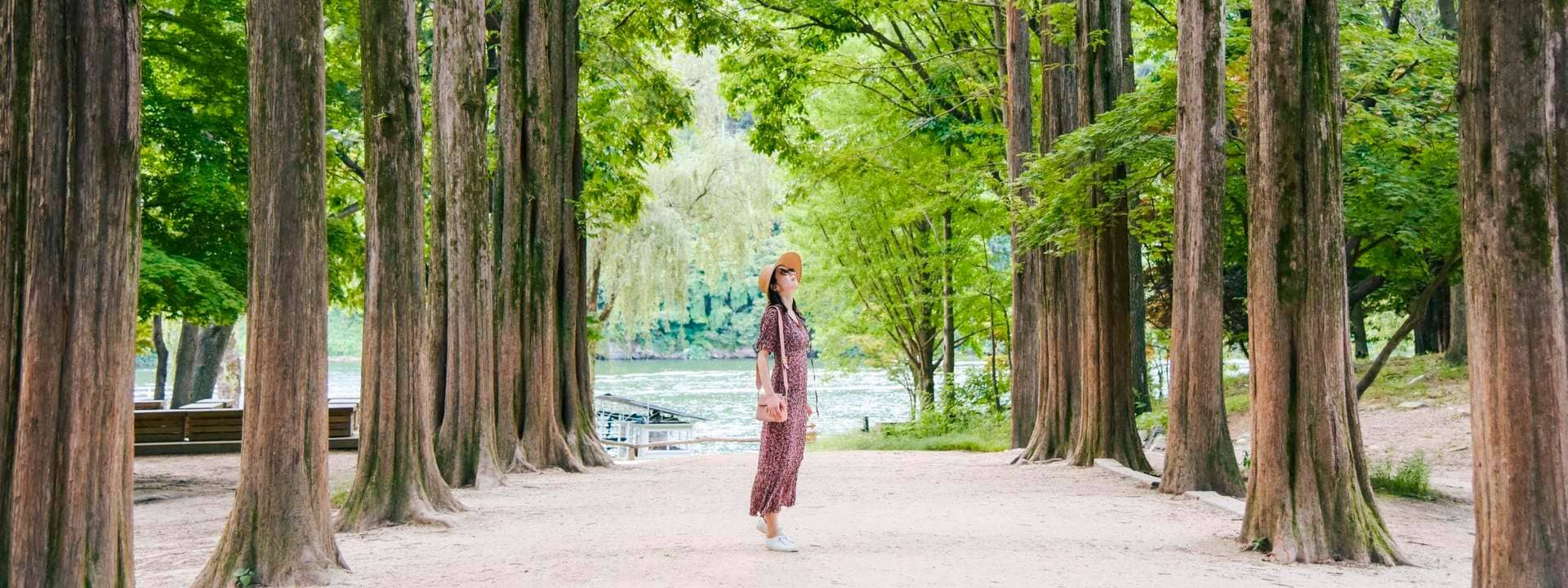 Seoul Classic Routes Private Day Trip