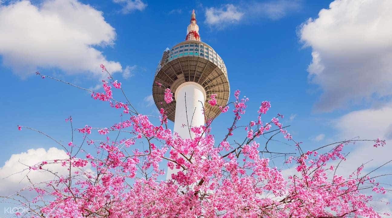 Seoul Classic Routes Private Day Trip4