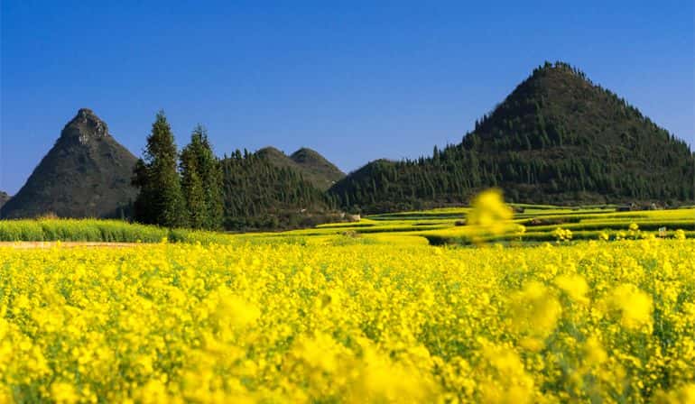 ทัวร์จีนคุนหมิง กุ้ยโจว อี้เหลียง หมี่เลอ3