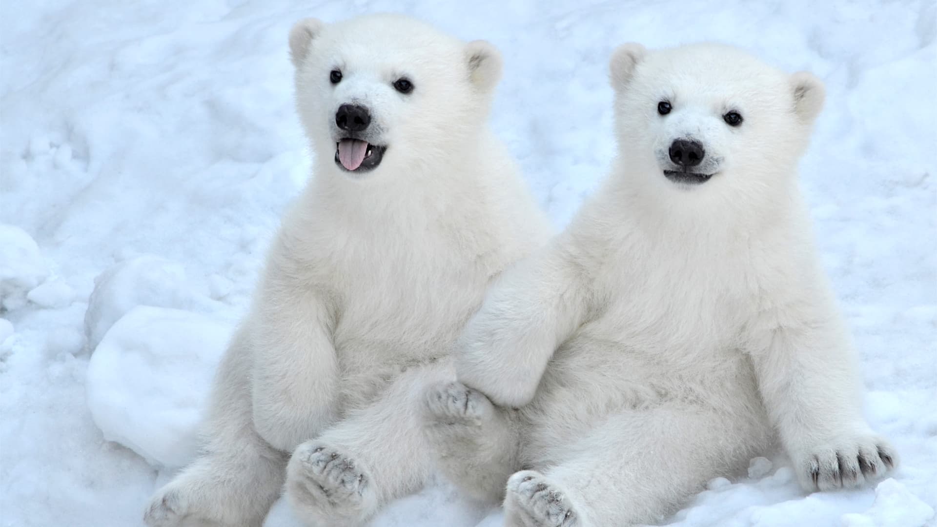 travel-story-1729250296_d3c59e6bdfd86619533f-0