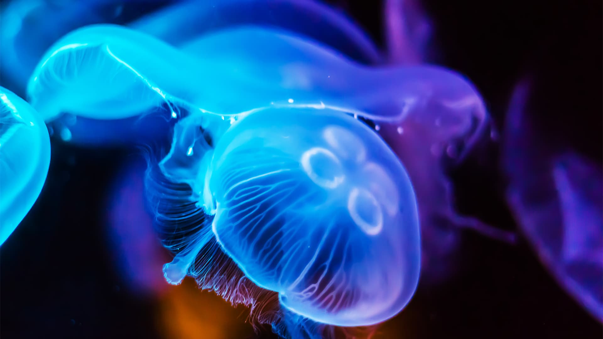 travel-story-1729250488_bbeff0274f18806dd755-0