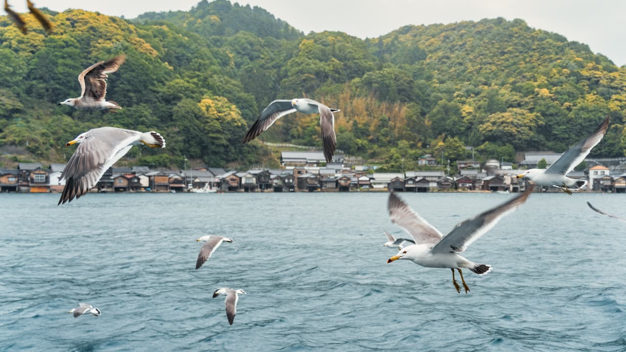 travel-story-1729495000_b99b83c7b4a01b38780f-0