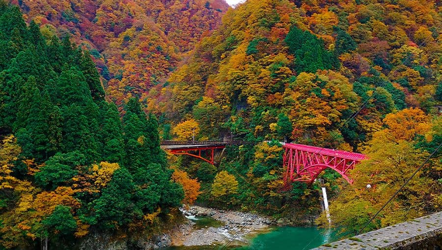 travel-story-1741937656_21f0ef041761cf988b1c-0