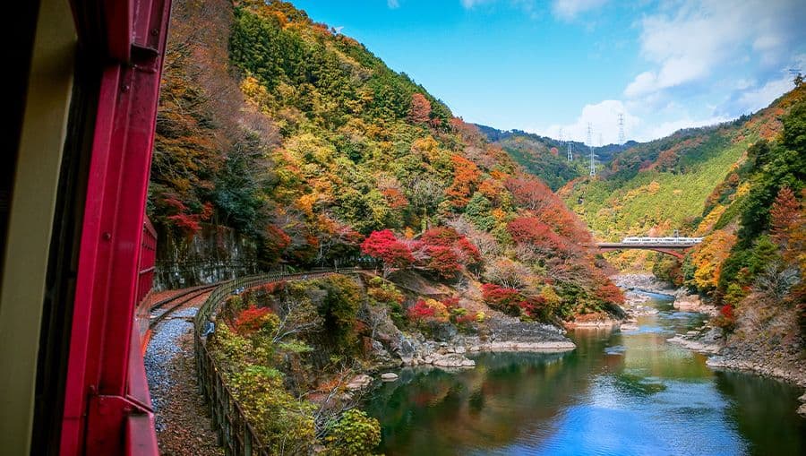 travel-story-1741937961_b64266524207829ed49d-0