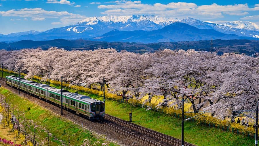 travel-story-1741938173_58eacb317d9cc1d31490-0