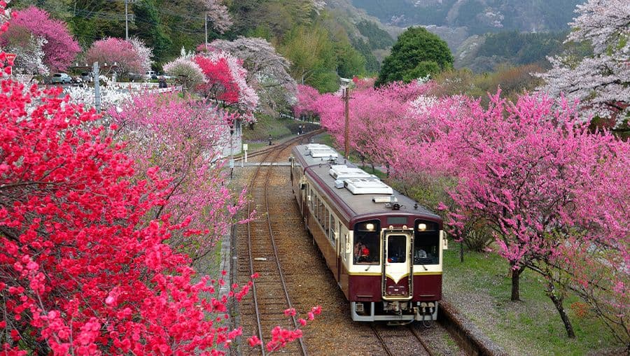 travel-story-1741938242_e6a848dfa9c1c8447ea3-0