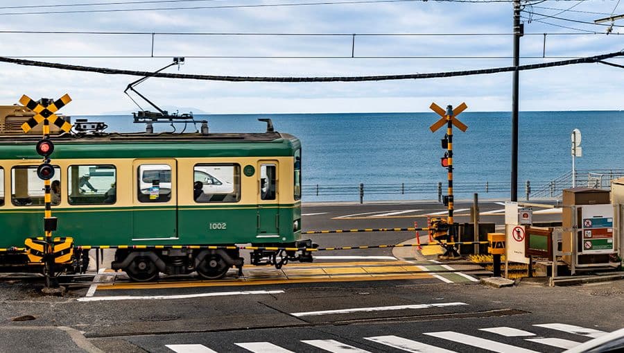 travel-story-1741938366_8697fff691d3a3b20fcc-0