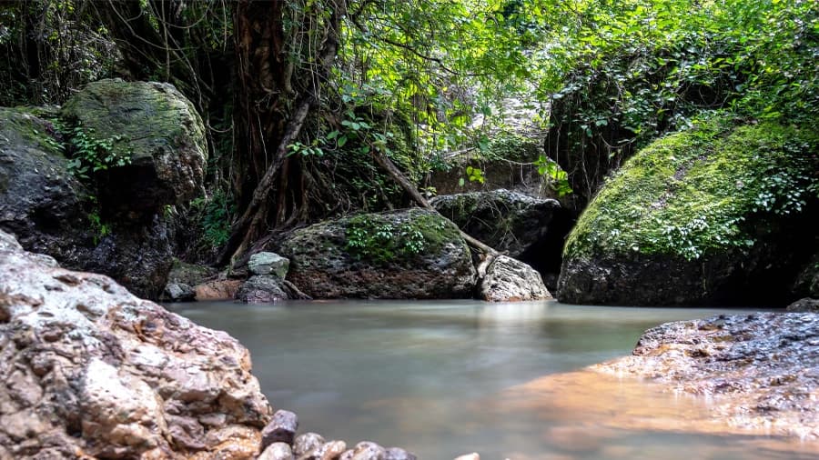 travel-story-1741316270_c1ad7d5a8720ca0a4977-0