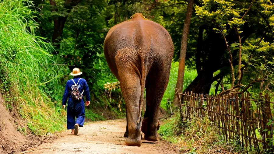 travel-story-1741317279_8494901b70abe2023ad8-0