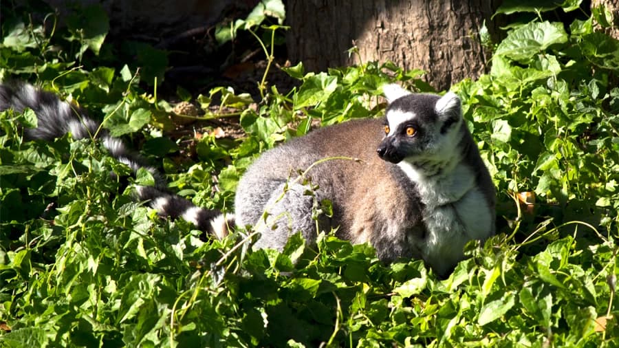 travel-story-1741318745_09e3f12dc564302c4add-0