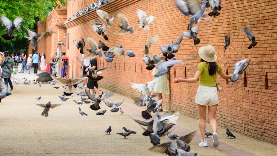 travel-story-1741318823_68f0f936996b87c0fbec-0