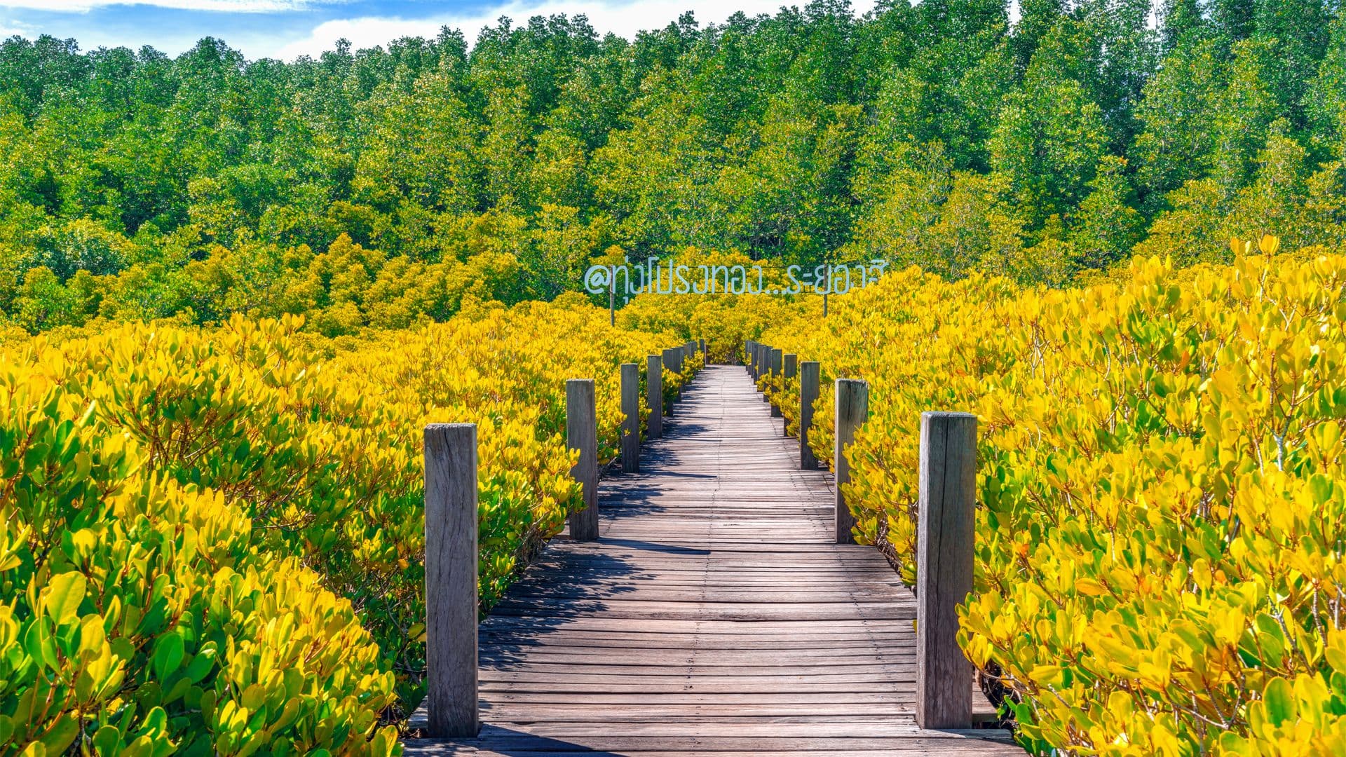 travel-story-1741328444_b54278f4fdd04af726f5-0